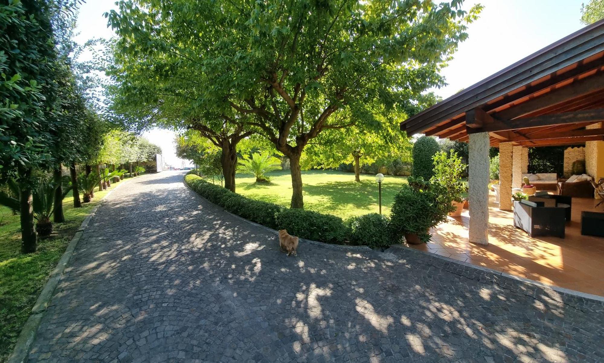 VILLA CECILIA sul LAGO fronte MARE Sperlonga Exterior foto